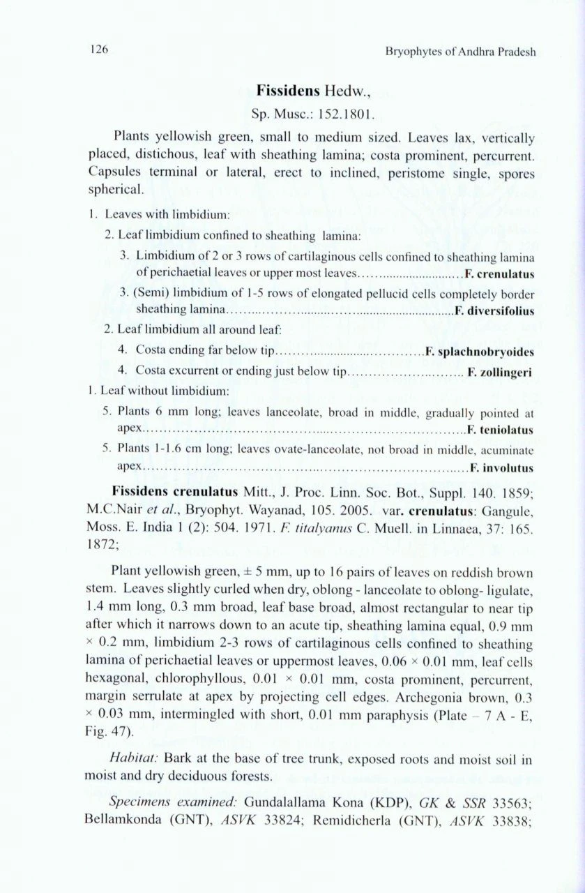 Bryophytes Of Andhra Pradesh 5 Bryophytes Of Andhra Pradesh - Image 3