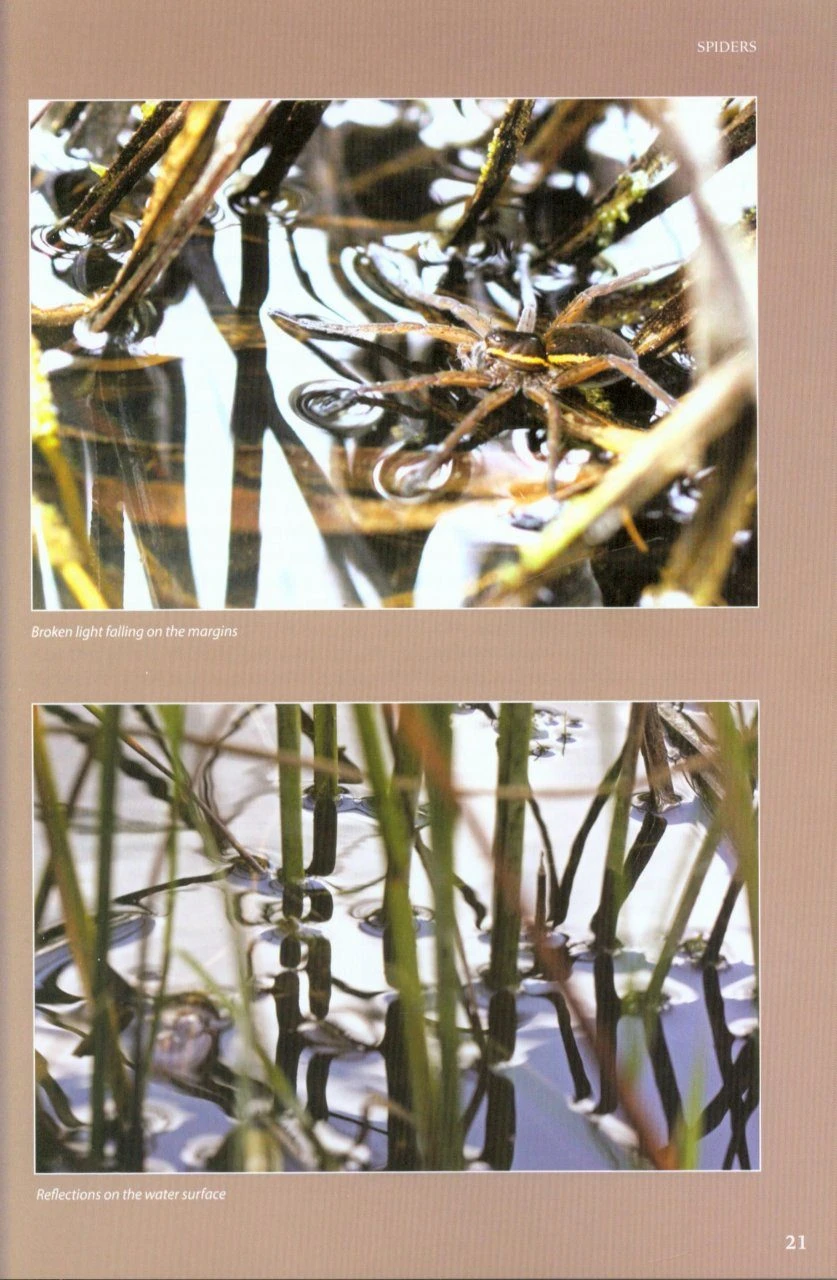 On The Margins 4 On The Margins - Image 2