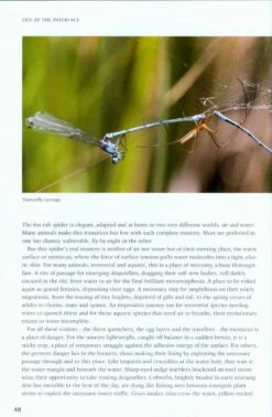 On The Margins 11 On The Margins -Wildlife Professional Books 217023 2