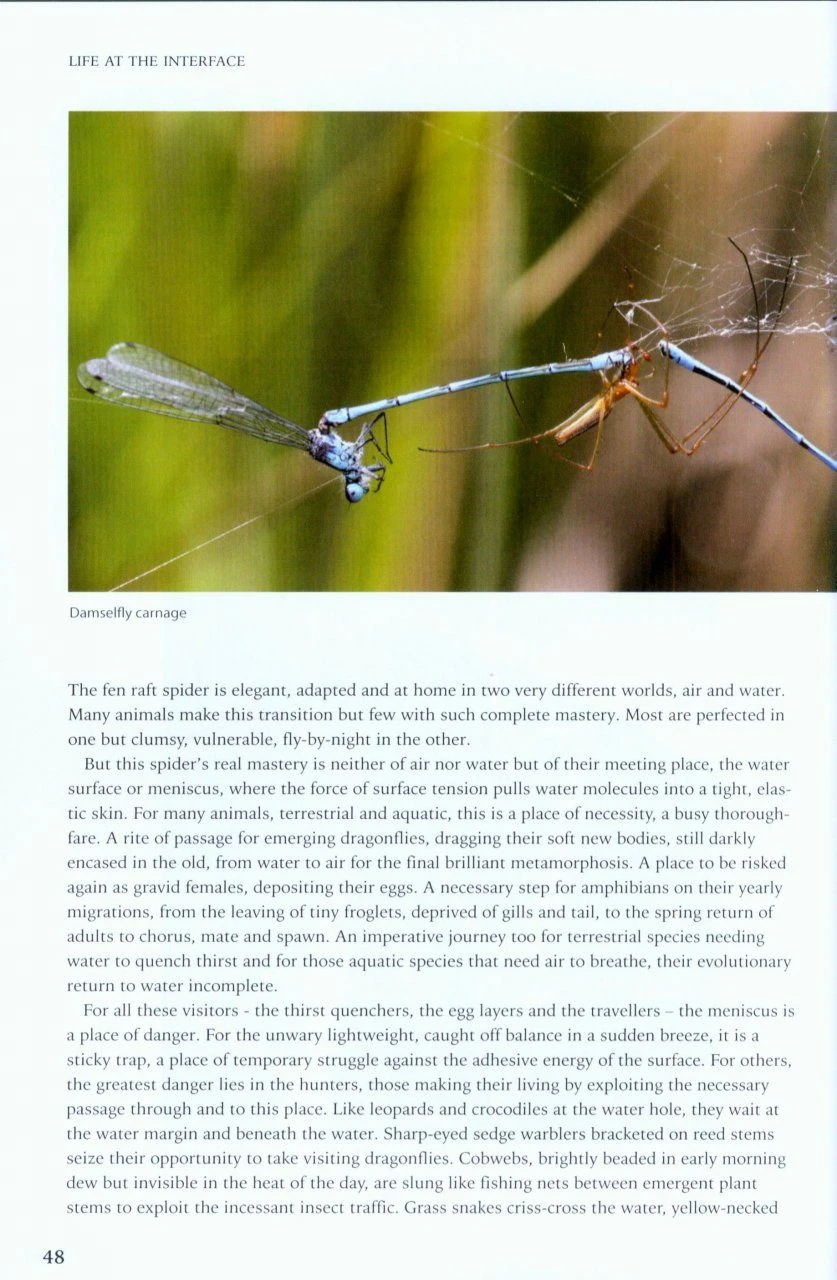 On The Margins 5 On The Margins - Image 3