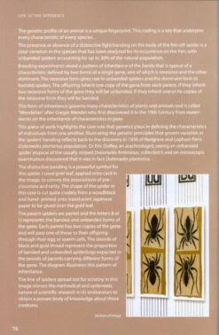 On The Margins 12 On The Margins -Wildlife Professional Books 217023 3