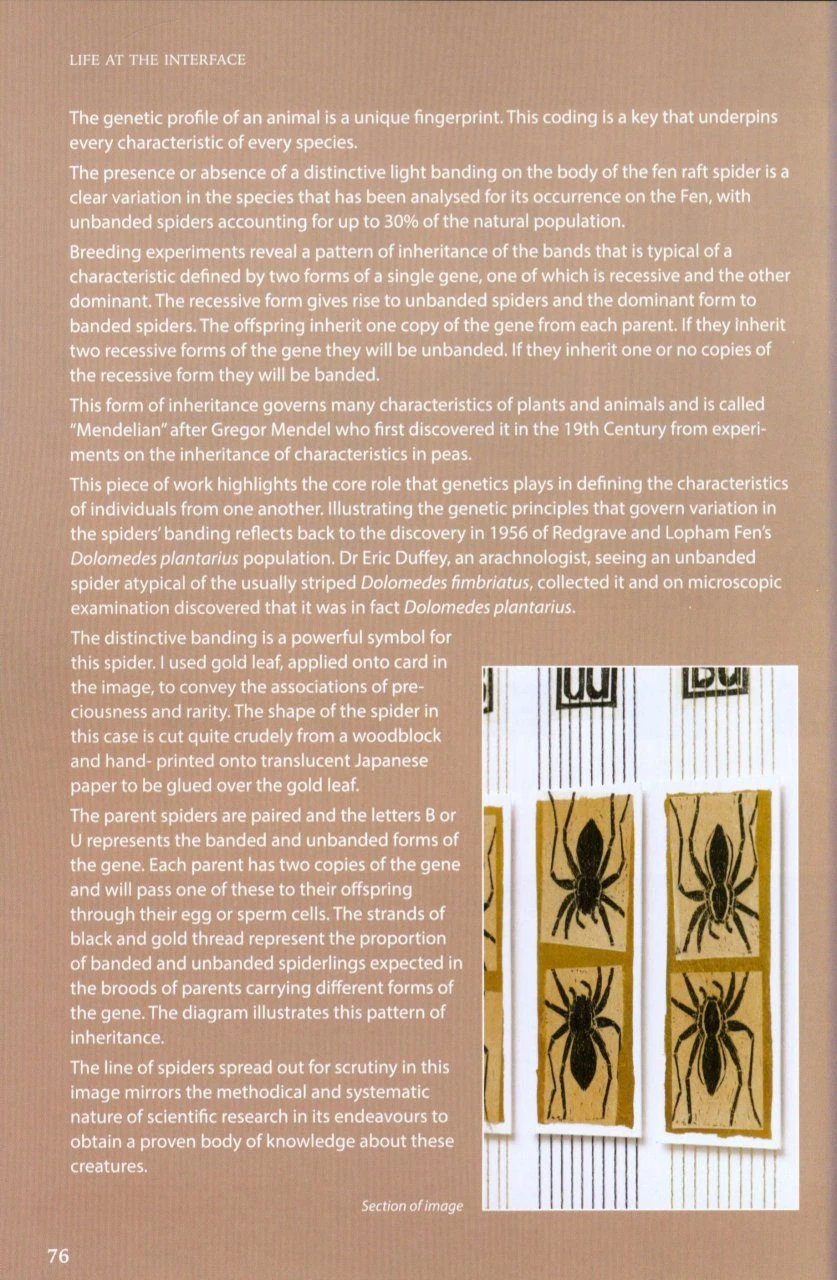 On The Margins 6 On The Margins - Image 4