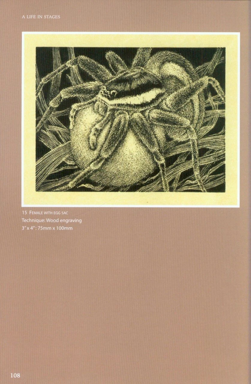 On The Margins 7 On The Margins - Image 5