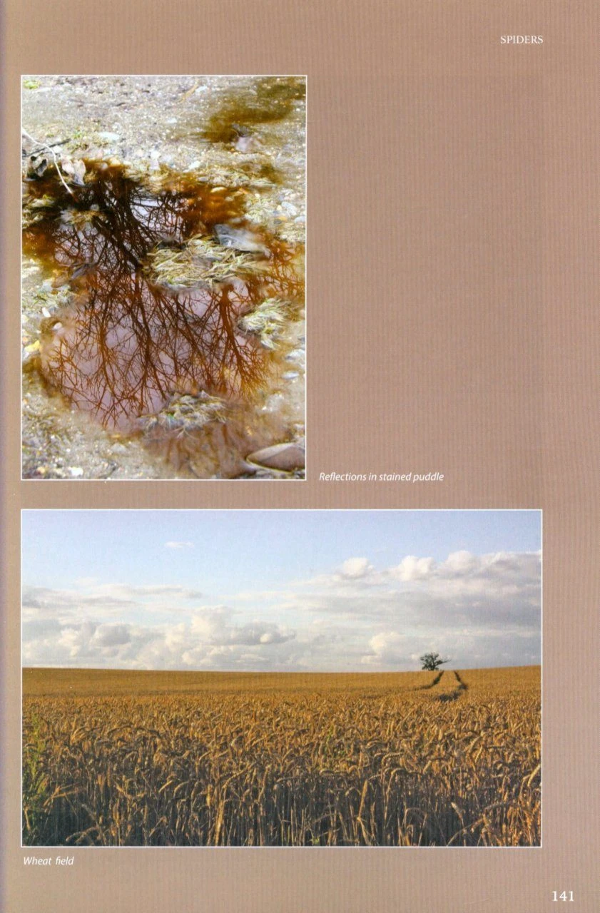 On The Margins 8 On The Margins - Image 6