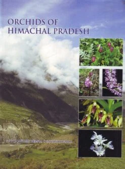 Orchids Of Himachal Pradesh
