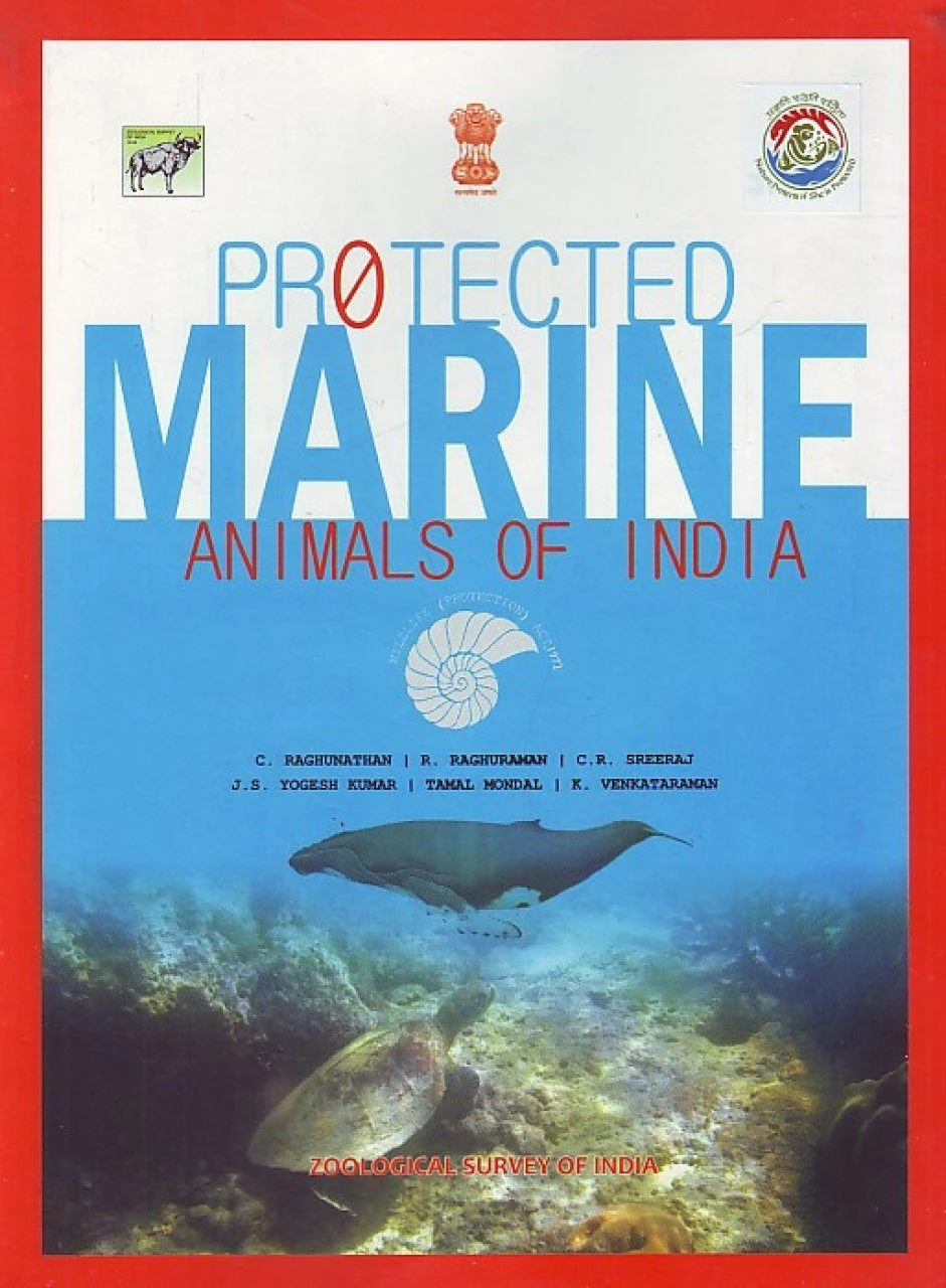 Protected Marine Animals Of India 3 Protected Marine Animals Of India