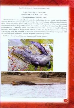 Protected Marine Animals Of India 11 Protected Marine Animals Of India -Wildlife Professional Books 217205 4