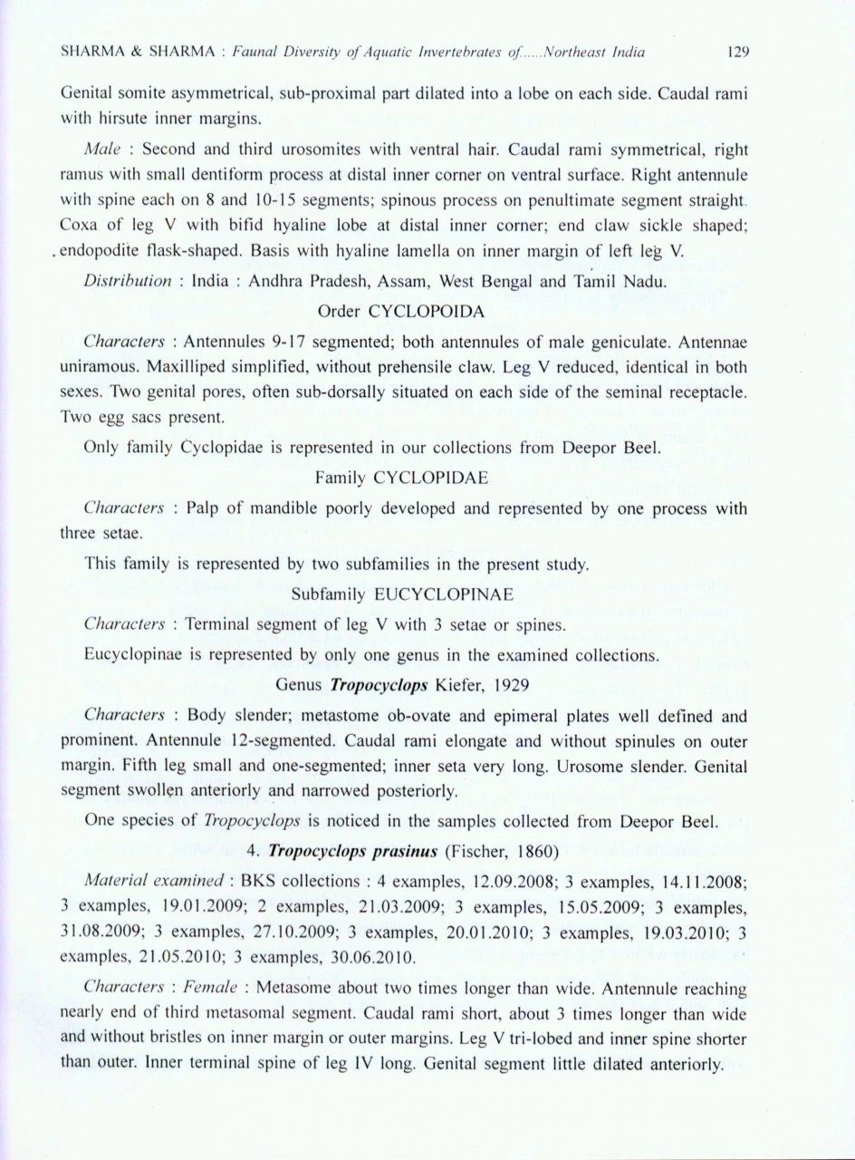 Faunal Diversity Of Aquatic Invertebrates Of Deepor Beel (a Ramsar Site), Assam, Northeast India 6 Faunal Diversity Of Aquatic Invertebrates Of Deepor Beel (a Ramsar Site), Assam, Northeast India - Image 4