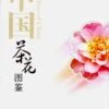 Camellias Of China [English / Chinese] -Wildlife Professional Books 217717