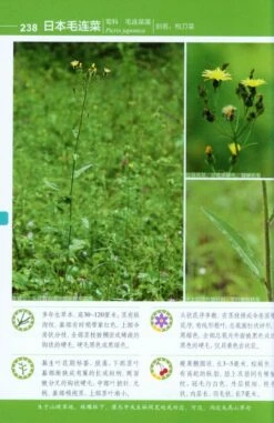 Colour Atlas Of Common Plants From Daxing'Anling Mountain [Chinese] -Wildlife Professional Books 217719 3