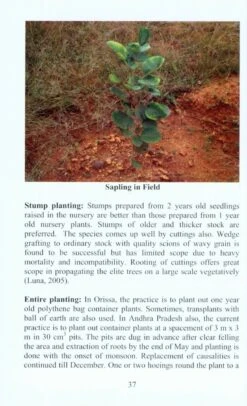 Endemic Possessions Of Eastern Ghats 7 Endemic Possessions Of Eastern Ghats -Wildlife Professional Books 217820 1