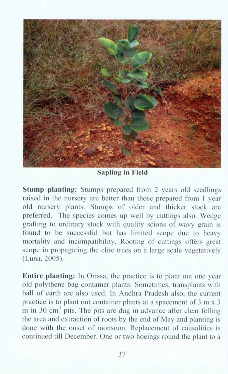 Endemic Possessions Of Eastern Ghats 4 Endemic Possessions Of Eastern Ghats - Image 2