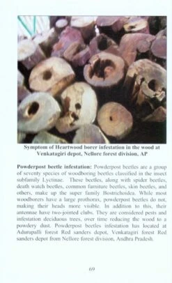 Endemic Possessions Of Eastern Ghats 8 Endemic Possessions Of Eastern Ghats -Wildlife Professional Books 217820 2