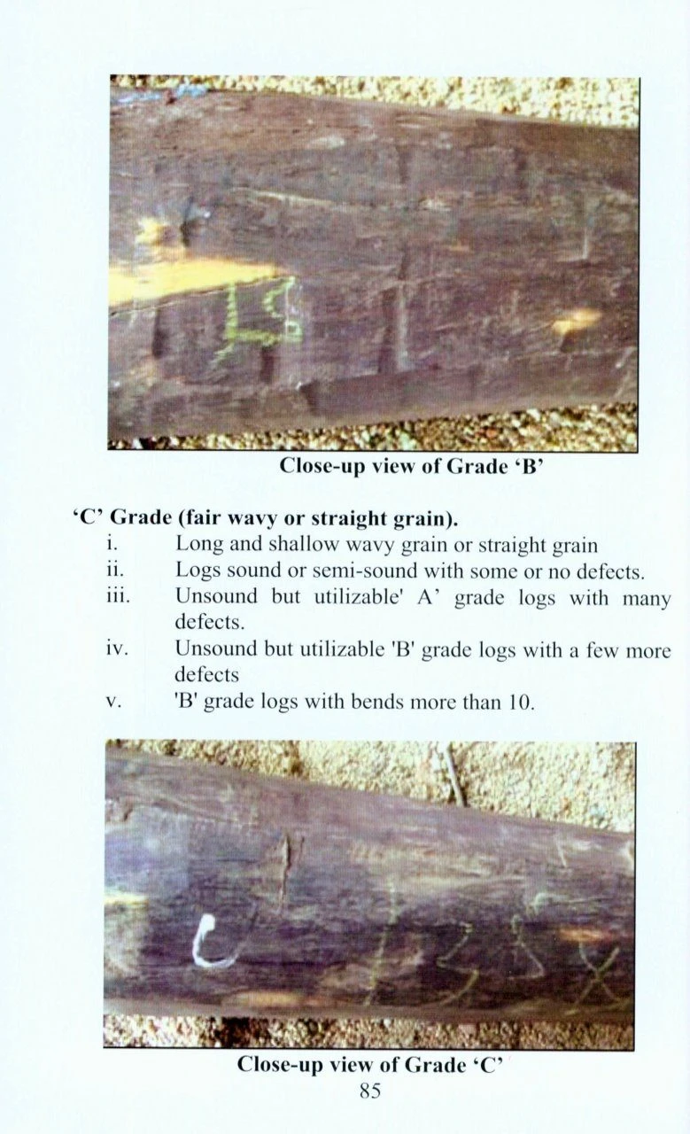 Endemic Possessions Of Eastern Ghats 6 Endemic Possessions Of Eastern Ghats - Image 4