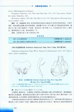 Stratiomyoidea Of China [Chinese] -Wildlife Professional Books 217919 2