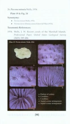 Handbook On Agariciids Of Andaman And Nicobar Islands -Wildlife Professional Books 217954 3