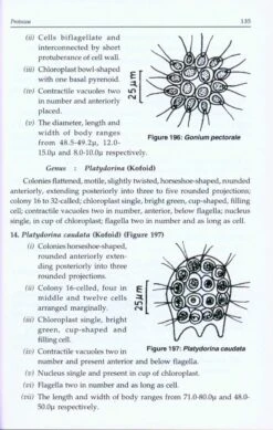 Freshwater Plankton And Macrophytes Of India -Wildlife Professional Books 218174 2