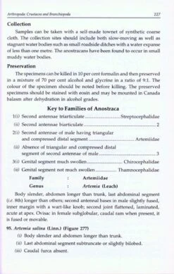 Freshwater Plankton And Macrophytes Of India -Wildlife Professional Books 218174 3