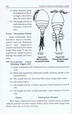 Freshwater Plankton And Macrophytes Of India -Wildlife Professional Books 218174 4