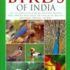 A Photographic Guide To The Birds Of India 2 A Photographic Guide To The Birds Of India -Wildlife Professional Books 218204