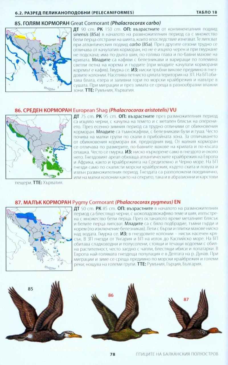 A Photographic Guide To The Birds Of India 4 A Photographic Guide To The Birds Of India - Image 2