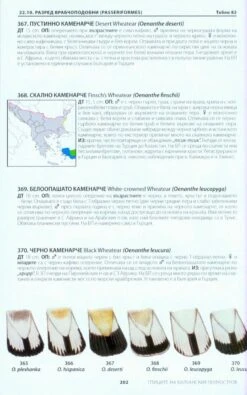 A Photographic Guide To The Birds Of India 14 A Photographic Guide To The Birds Of India -Wildlife Professional Books 218204 5