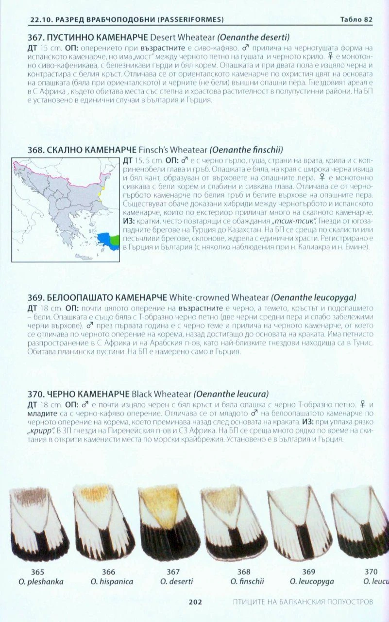 A Photographic Guide To The Birds Of India 8 A Photographic Guide To The Birds Of India - Image 6