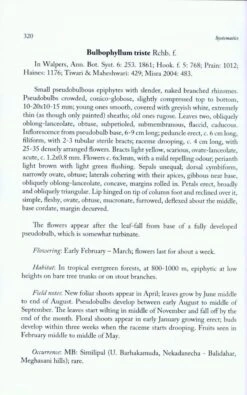 Orchids Of Odisha 10 Orchids Of Odisha -Wildlife Professional Books 218856 3