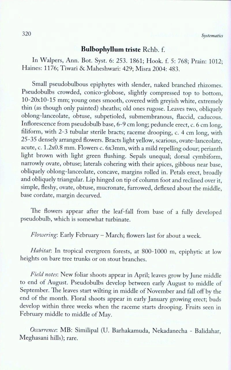 Orchids Of Odisha 6 Orchids Of Odisha - Image 4