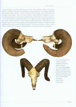 CIC Caprinae Atlas Of The World (2-Volume Set) 20 CIC Caprinae Atlas Of The World (2-Volume Set) -Wildlife Professional Books 218886 03