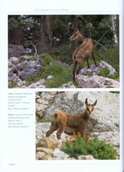 CIC Caprinae Atlas Of The World (2-Volume Set) 25 CIC Caprinae Atlas Of The World (2-Volume Set) -Wildlife Professional Books 218886 08