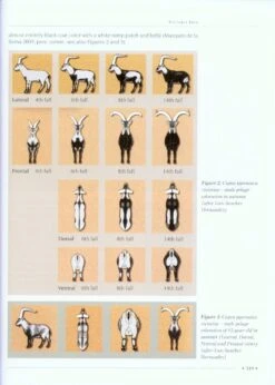 CIC Caprinae Atlas Of The World (2-Volume Set) 26 CIC Caprinae Atlas Of The World (2-Volume Set) -Wildlife Professional Books 218886 09