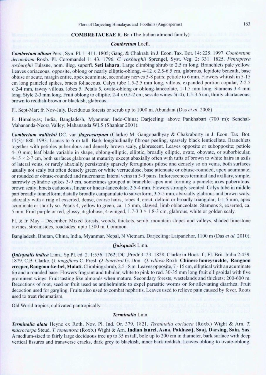 Flora Of Darjeeling Himalayas And Foothills (Angiosperms) 4 Flora Of Darjeeling Himalayas And Foothills (Angiosperms) - Image 2