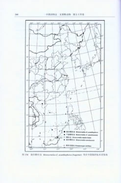 Fauna Sinica: Invertebrata, Volume 54: Annelida: Polychaeta (III): Sabellida [Chinese] -Wildlife Professional Books 219141 3