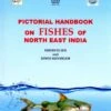 Pictorial Handbook On Fishes Of North East India -Wildlife Professional Books 219449