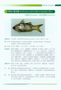 Nekton In Dongshan Bay And Adjacent Areas, China [Chinese] -Wildlife Professional Books 219546 2