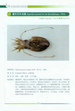 Nekton In Dongshan Bay And Adjacent Areas, China [Chinese] -Wildlife Professional Books 219546 3