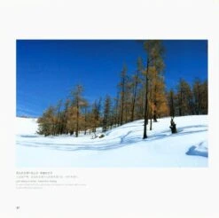 Diverse Forests Of China [English / Chinese] -Wildlife Professional Books 219730 1