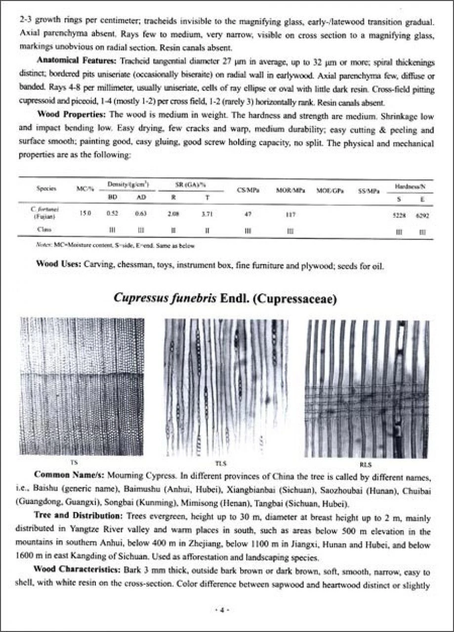 Wood Properties Of The Global Important Tree Species 4 Wood Properties Of The Global Important Tree Species - Image 2