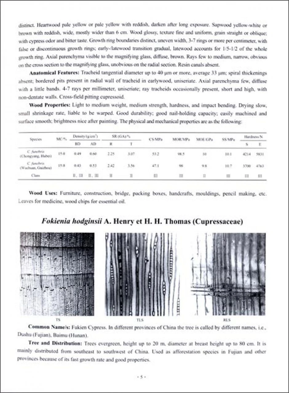 Wood Properties Of The Global Important Tree Species 5 Wood Properties Of The Global Important Tree Species - Image 3