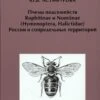 Pchely Podsemeistv Rophitinae I Nomiinae (Hymenoptera, Halictidae) Rossii I Sopredel'nykh Territorii [Bees Of The Subfamilies Rophitinae And Nomiinae (Hymenoptera, Halictidae) Of Russia And Adjacent Territories] -Wildlife Professional Books 219843