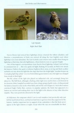 A Natural History Of Lighthouses 14 A Natural History Of Lighthouses -Wildlife Professional Books 220066 5