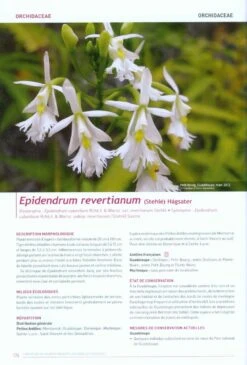 Livre Rouge Des Plantes Menacées Aux Antilles Françaises [Red Book Of Endangered Plants In The French West Indies] -Wildlife Professional Books 220088 3