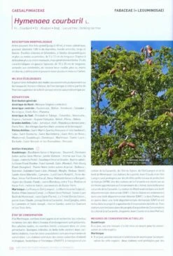 Livre Rouge Des Plantes Menacées Aux Antilles Françaises [Red Book Of Endangered Plants In The French West Indies] -Wildlife Professional Books 220088 5