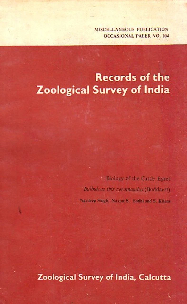 Biology Of The Cattle Egret, Bubulcus Ibis Coromandus (Boddaert) 3 Biology Of The Cattle Egret, Bubulcus Ibis Coromandus (Boddaert)