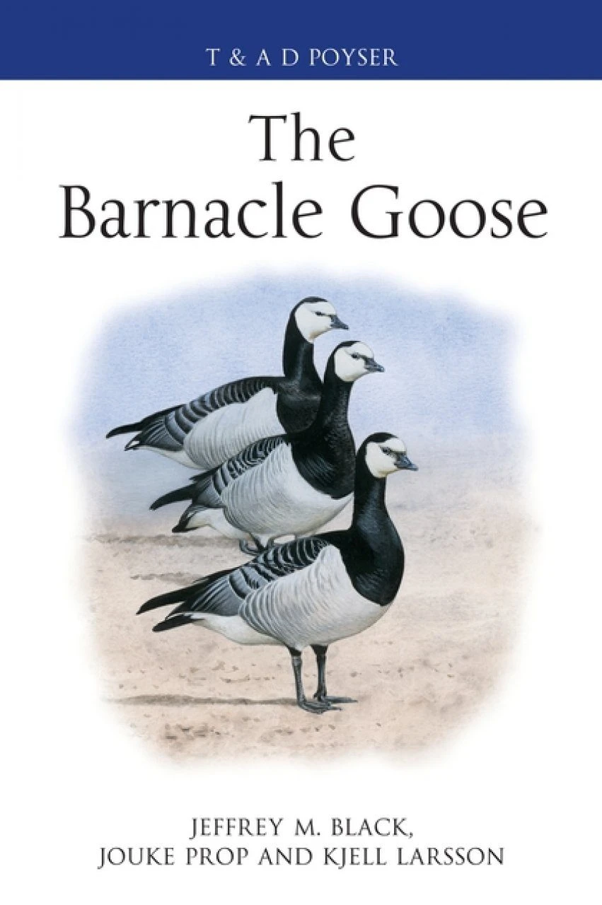 The Barnacle Goose 3 The Barnacle Goose