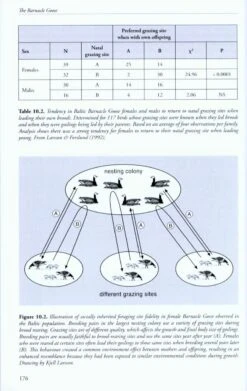 The Barnacle Goose 10 The Barnacle Goose -Wildlife Professional Books 220335 3