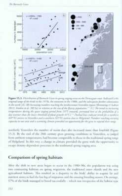 The Barnacle Goose 11 The Barnacle Goose -Wildlife Professional Books 220335 4
