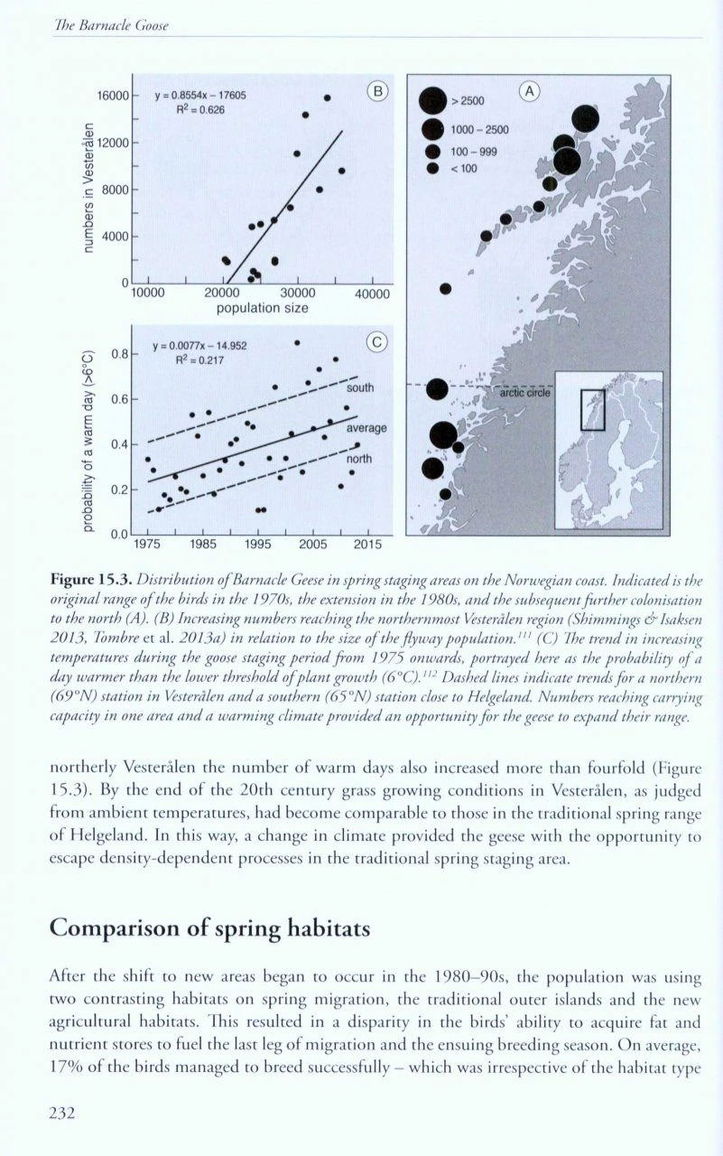 The Barnacle Goose 7 The Barnacle Goose - Image 5