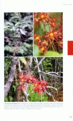 Flore De La Nouvelle-Calédonie, Volume 26: Cunoniaceae [Faune Et Flore Tropicales, Volume 45] -Wildlife Professional Books 220339 3